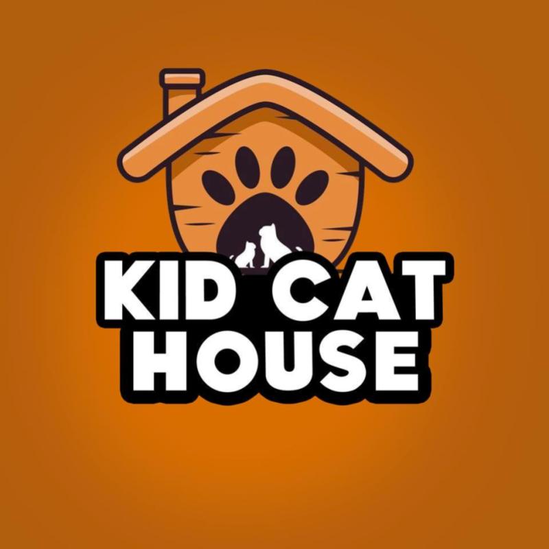 Top 10 Best Pet Boarding in Penang 2025 4 Kid Cat House