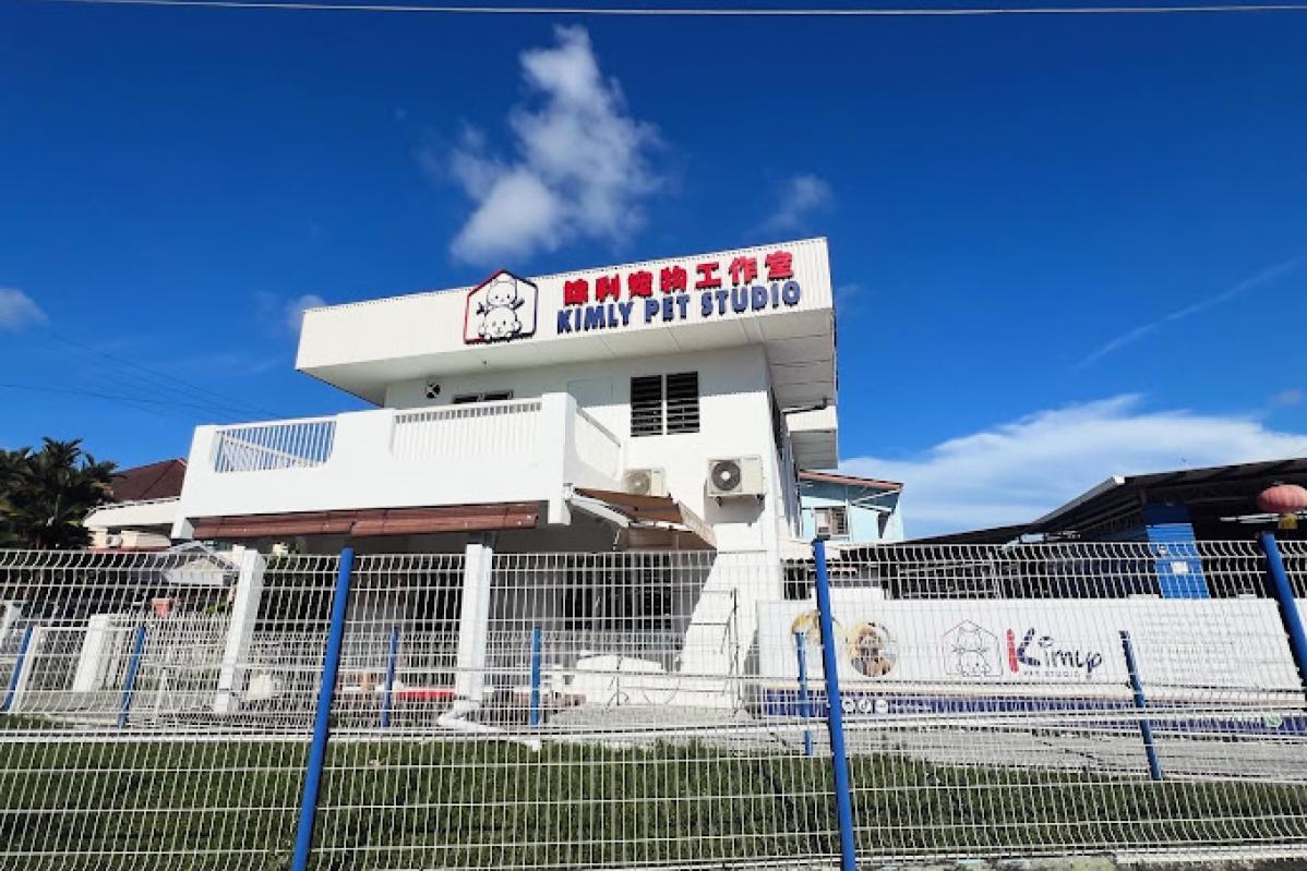 Top 10 Best Pet Boarding in Sarawak 2025 8 Kimly Pet Studio