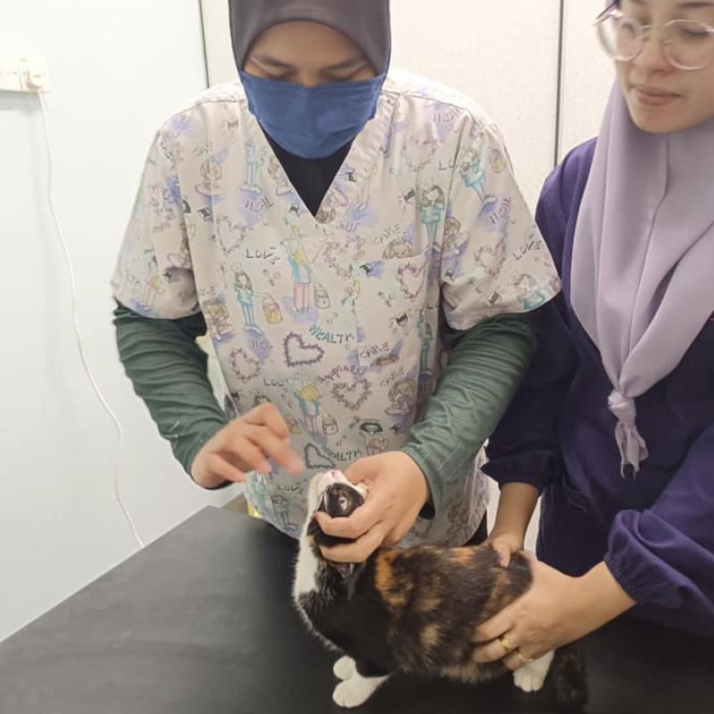 10 Klinik Haiwan Terbaik di Melaka 2025 8 Klinik Veterinar Family Surgeri 1