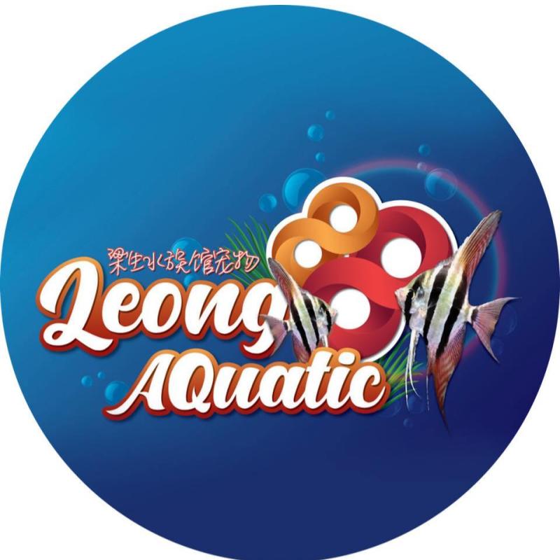 Top 10 Best Aquatic Pet Shops in Malaysia 2025 24 Leong 88 Aquatic