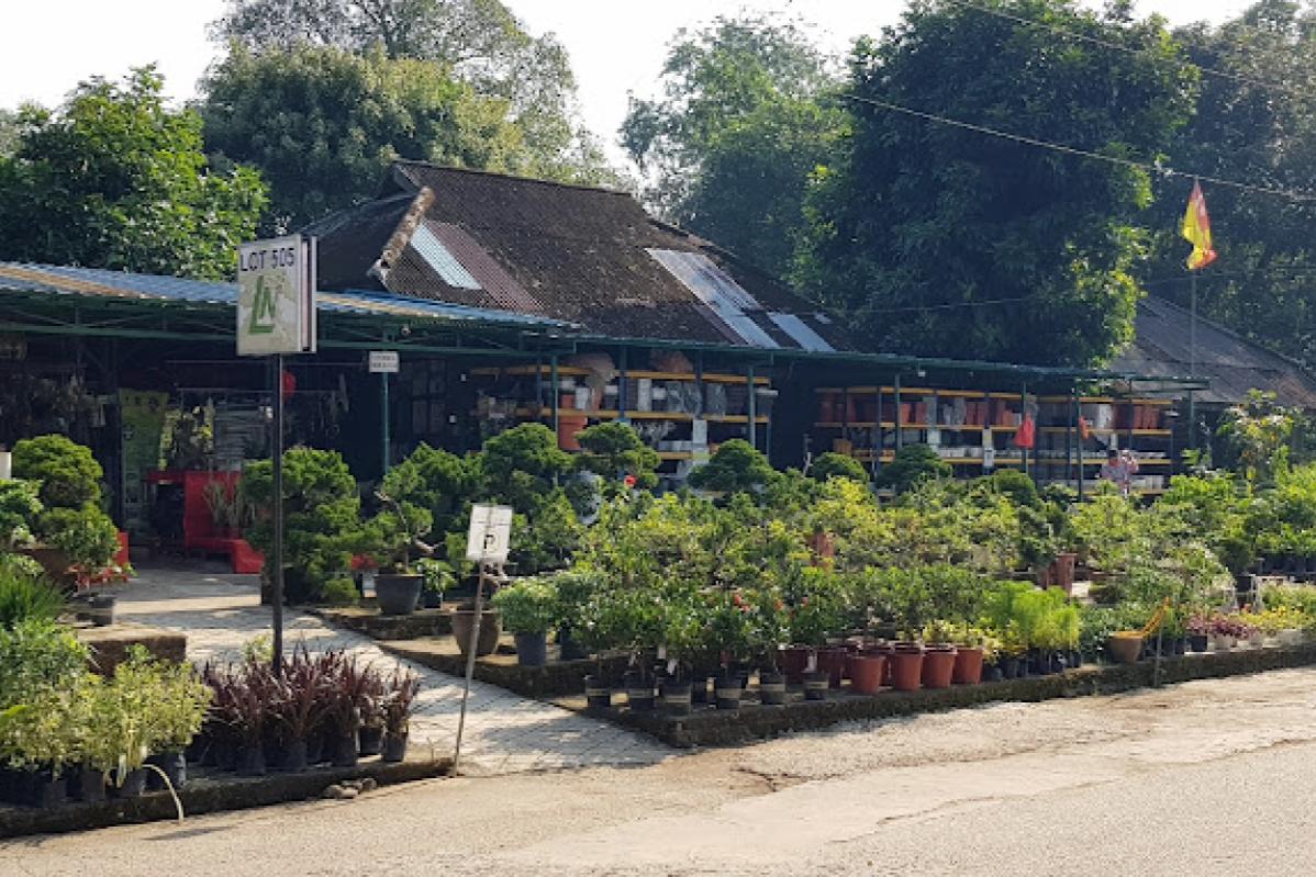 Top 10 Best Plant Nurseries in KL & Selangor 2025 10 Leong Nursery
