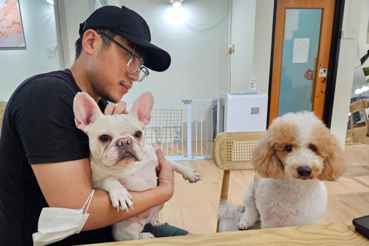 Top 20 Best Dog Cafes in Malaysia 2025 32 Little Belly Pet Pet 1