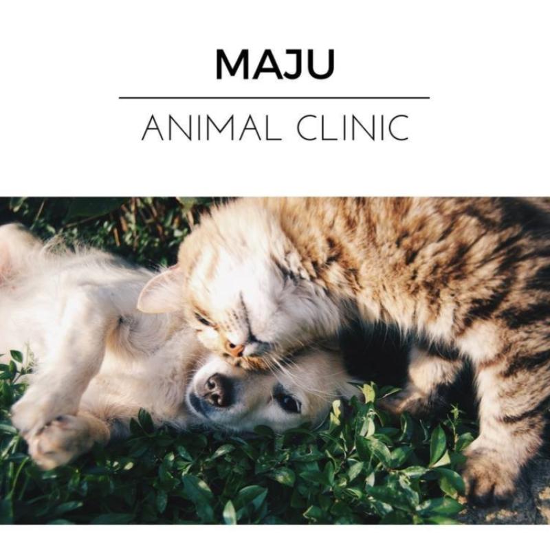 10 Klinik Haiwan Terbaik di Melaka 2025 5 Maju Animal Clinic