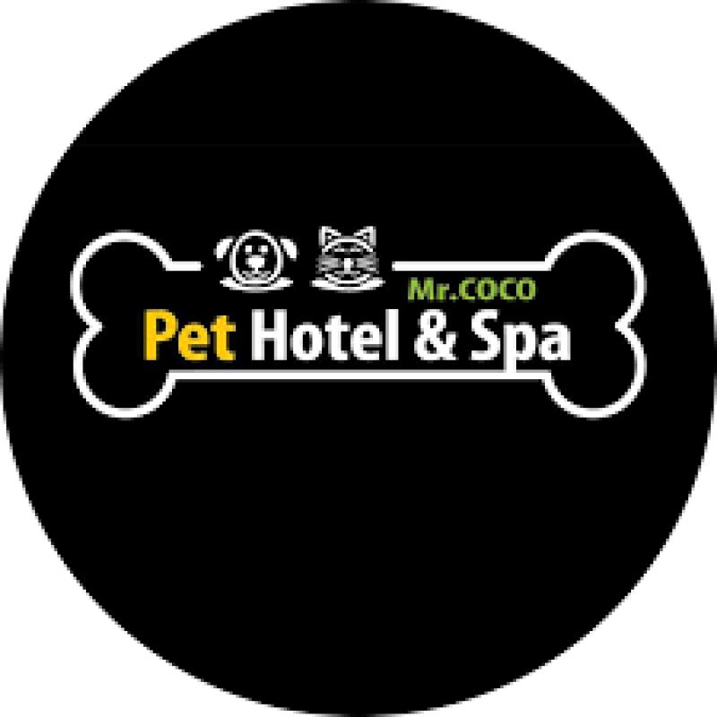 9 Pet Boarding Terbaik di KL & Selangor 2025 12 Mr Coco Pet Hotel Spa