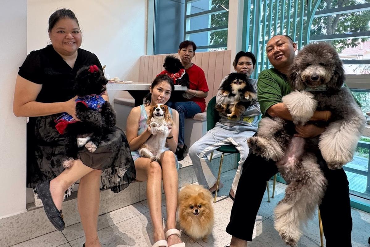 Top 20 Best Dog Cafes in Malaysia 2025 18 Mr. Mrs. The Pet Cafe 1