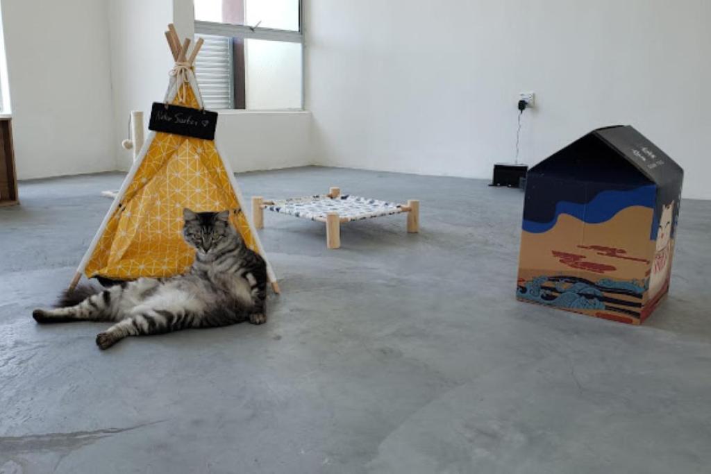 Top 10 Best Pet Boarding in Ipoh 2025 9 Neko Suites Cat Hotel 1
