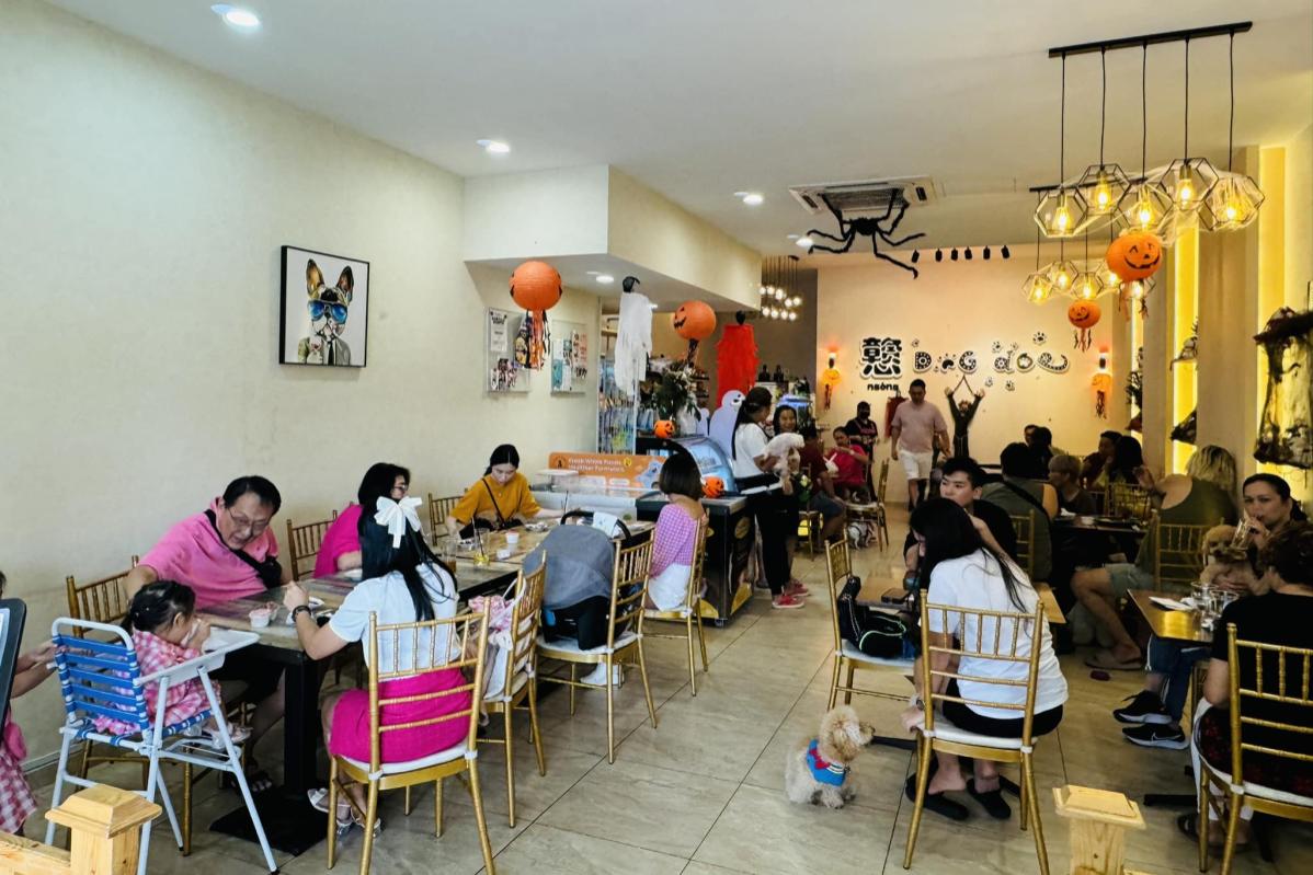 Top 20 Best Dog Cafes in Malaysia 2025 41 Ngong Dog Dog