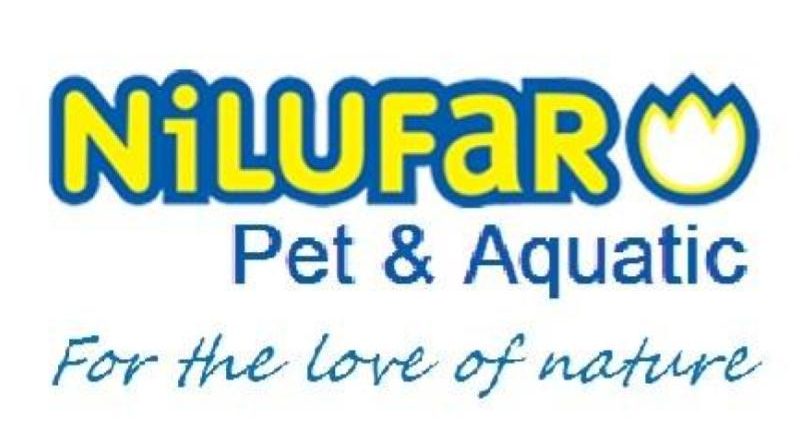 Top 10 Best Aquatic Pet Shops in Malaysia 2025 16 Nilufar Pet Aquatic e1716277766970
