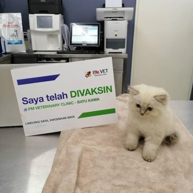 10 Klinik Haiwan Terbaik di Sarawak 2025 22 PM Veterinary Clinic 1