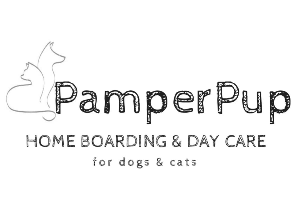 9 Pet Boarding Terbaik di KL & Selangor 2025 15 PamperPup Pet Home Boarding Day Care