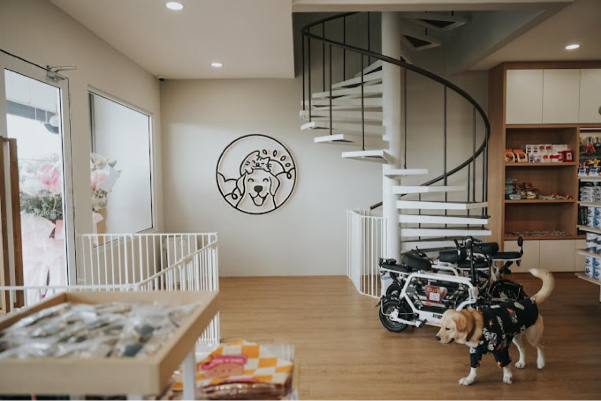 Top 10 Best Pet Boarding in Penang 2025 19 Pawffy Sunday 1