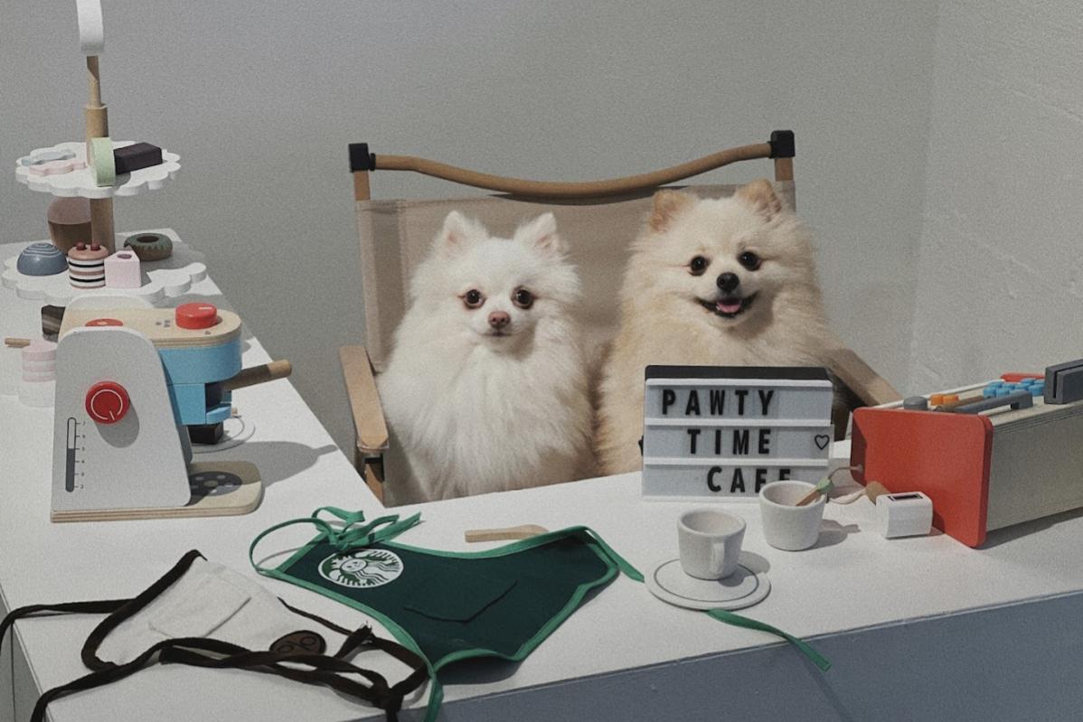 Top 20 Best Dog Cafes in Malaysia 2025 26 Pawty Time Cafe 1
