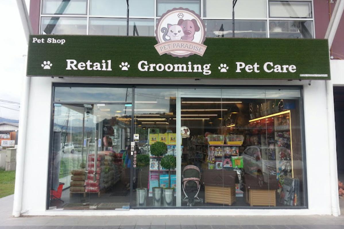 Top 10 Best Pet Boarding in Sabah 2025 2 Pet Paradise Kolombong