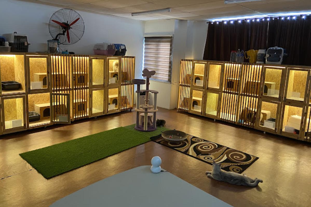 Top 10 Best Pet Boarding in Penang 2025 14 Petpampering Hotel Spa