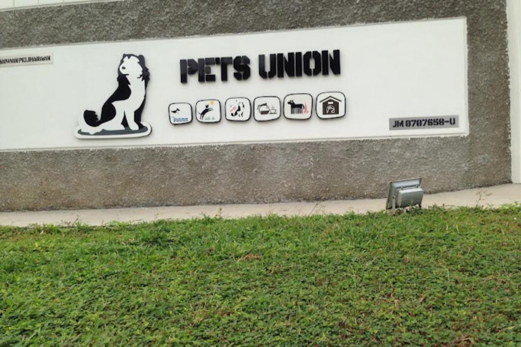 Top 10 Best Pet Boarding in Johor 2025 6 Pets Union 2