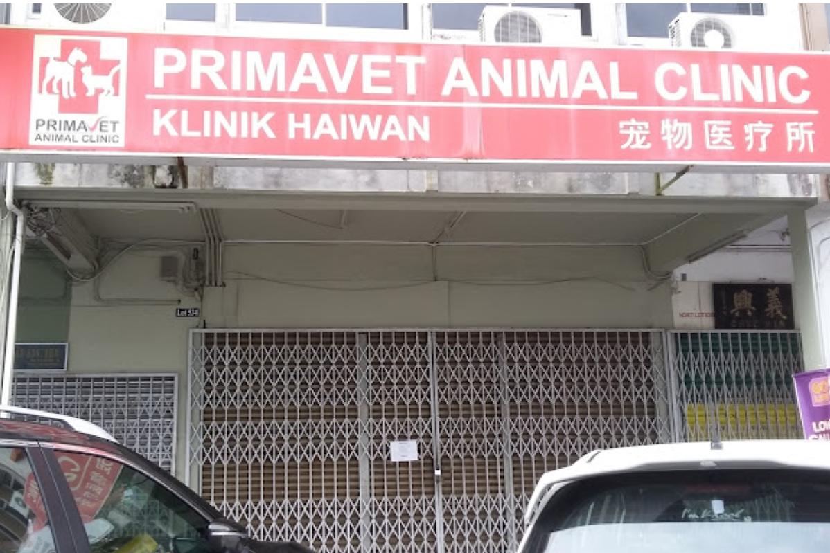 10 Klinik Haiwan Terbaik di Sarawak 2025 9 Primavet Animal Clinic