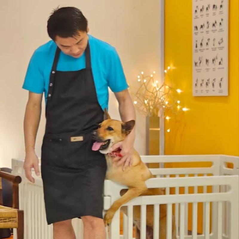 10 Klinik Haiwan Terbaik di Melaka 2025 16 Purrfect Pets Care Melaka 1