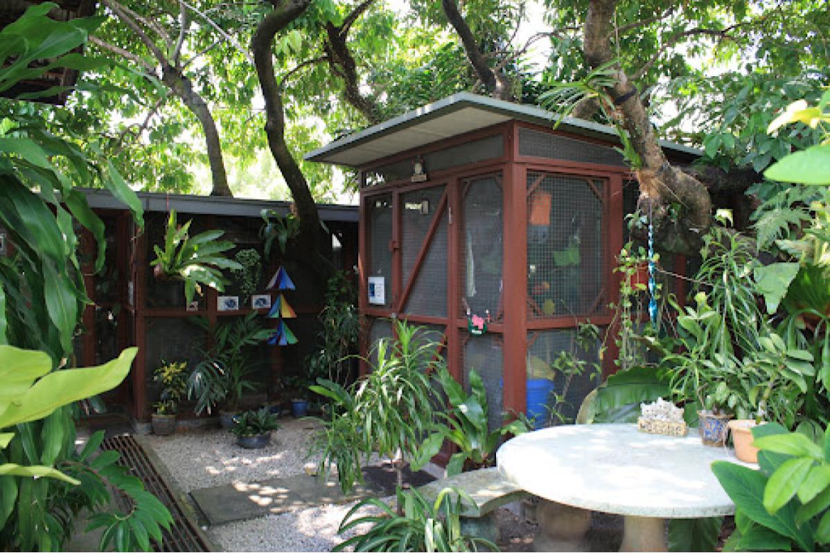 9 Pet Boarding Terbaik di KL & Selangor 2025 18 Scallywags Boarding Cattery 1