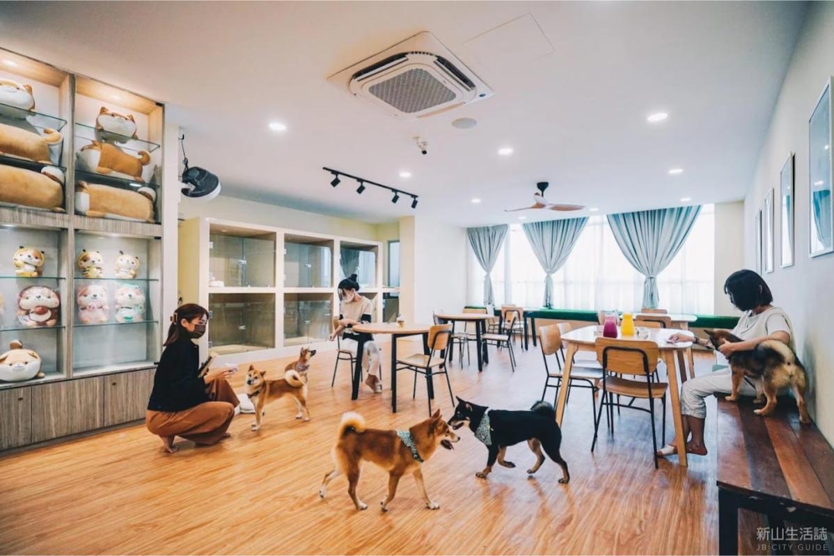 Top 20 Best Dog Cafes in Malaysia 2025 20 Shiba Cafe 1