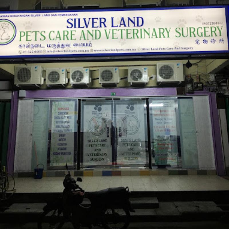 10 Klinik Haiwan Terbaik di Ipoh 2025 7 Silver Land Pets Care Veterinary Surgery