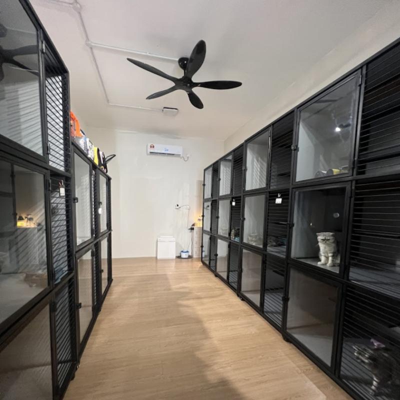 Top 10 Best Pet Boarding in Melaka 2025 11 Tabby house pet shop 1