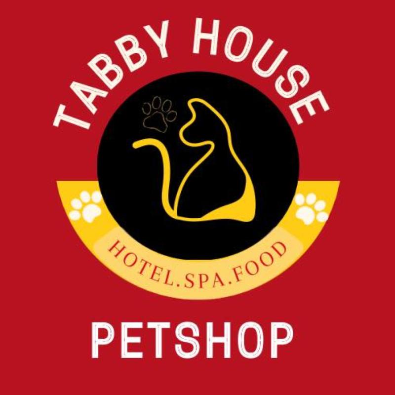 Top 10 Best Pet Boarding in Melaka 2025 10 Tabby house pet shop