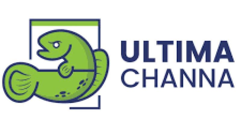 Top 10 Best Aquatic Pet Shops in Malaysia 2025 12 Ultima Channa Taman OUG Aquarium Shop e1716277578396