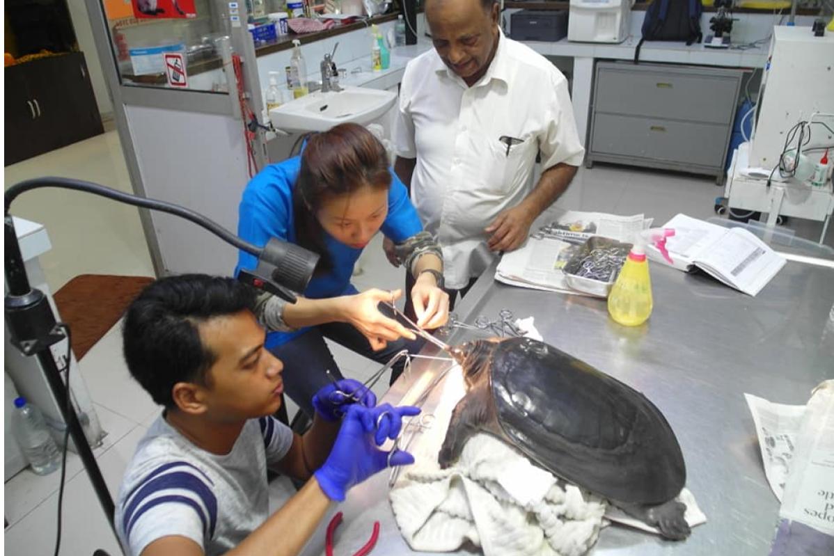 10 Klinik Haiwan Terbaik di Johor 2025 20 Wondercare Animal JB