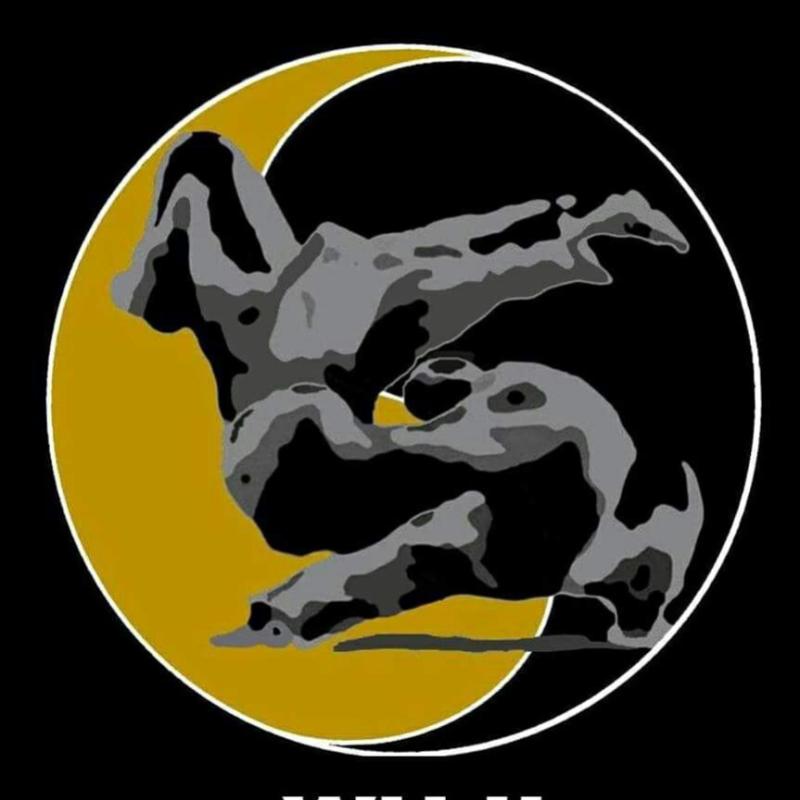 Top 20 Best MMA Gyms In Malaysia 2025 24 Wuji MMA