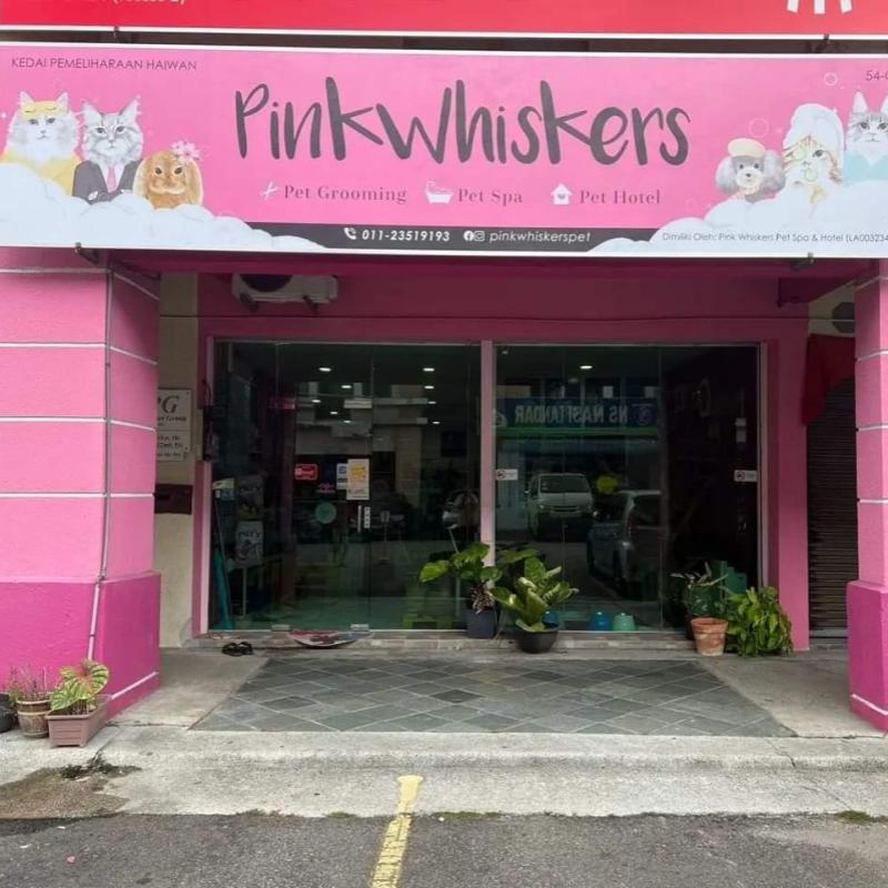 Top 10 Best Pet Boarding in Penang 2025 6 Pink Whiskers Pet Spa Hotel 1