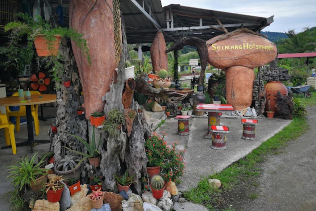 Top 10 Best Places for Father's Day Celebration in KL & Selangor 2024 6 Sg. Lalang Hot Spring