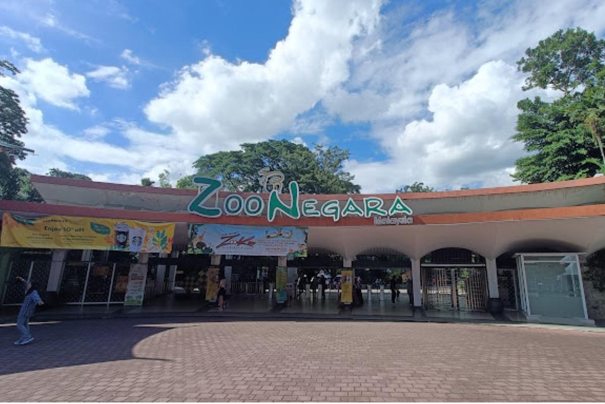 Top 10 Best Places for Father's Day Celebration in KL & Selangor 2024 2 Zoo Negara 2