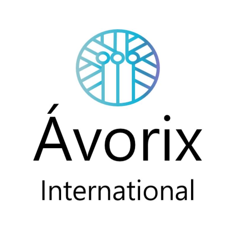 Top 10 Best Payroll Services in Malaysia 2025 2 ‘Avorix International