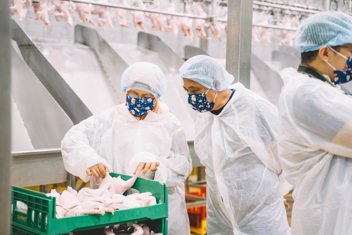 Top 10 Best Ayam Dara Suppliers in Malaysia 2025 13 Harumi Brands 1