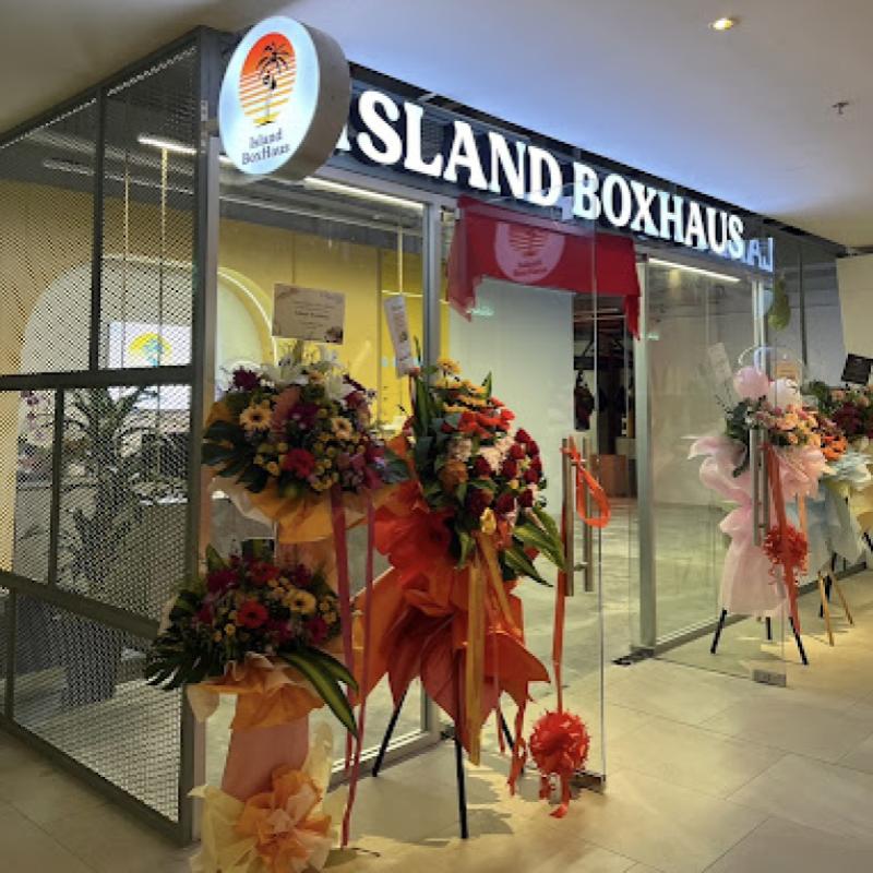 Top 10 Best MMA Gyms In Penang 2025 18 Island