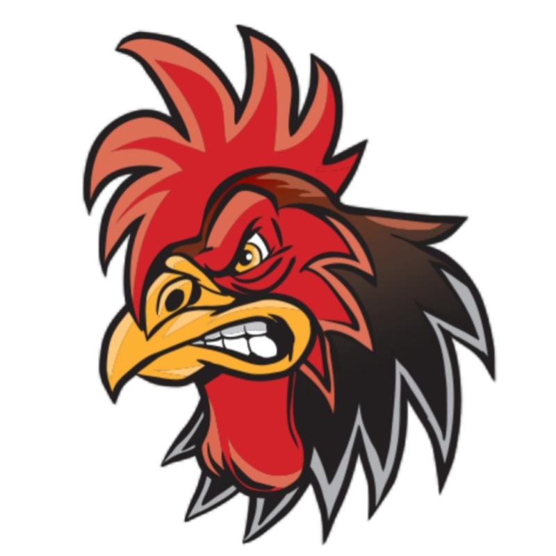 Top 10 Best Ayam Dara Suppliers in Malaysia 2025 18 Mat Ayam