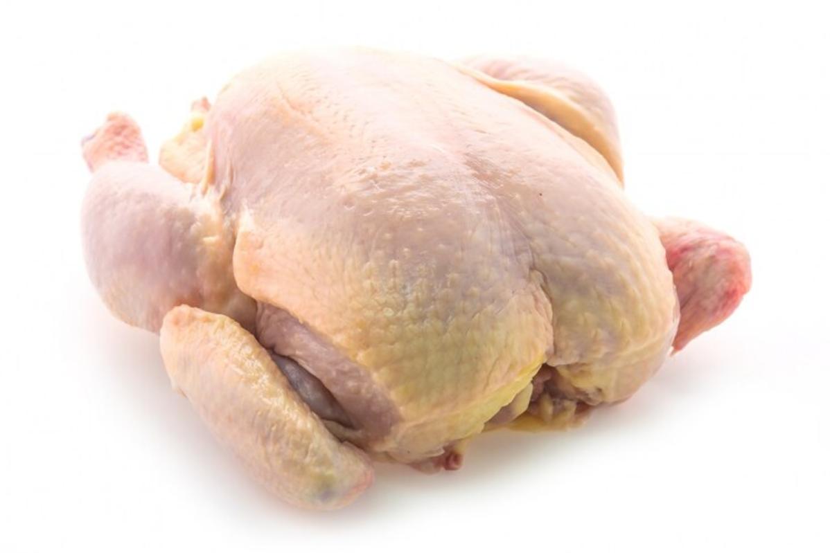 Top 10 Best Ayam Dara Suppliers in Malaysia 2025 21 Pembekal Ayam Dara di Gombak 1