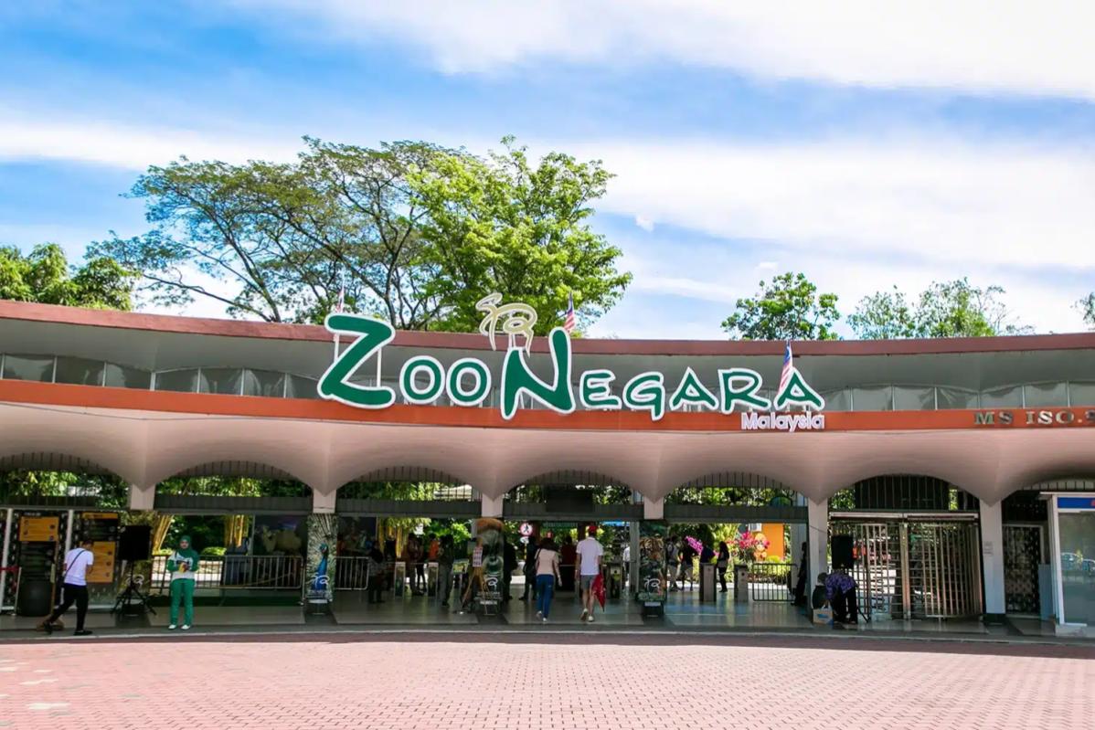 Top 10 Best Places To Celebrate Your Birthday For Free 2025 4 Zoo Negara 4