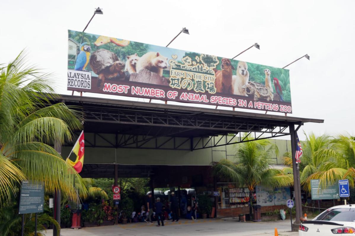 Top 10 Best Places to Visit During the Upcoming School Holidays in Malaysia 6 Farm In The City 2