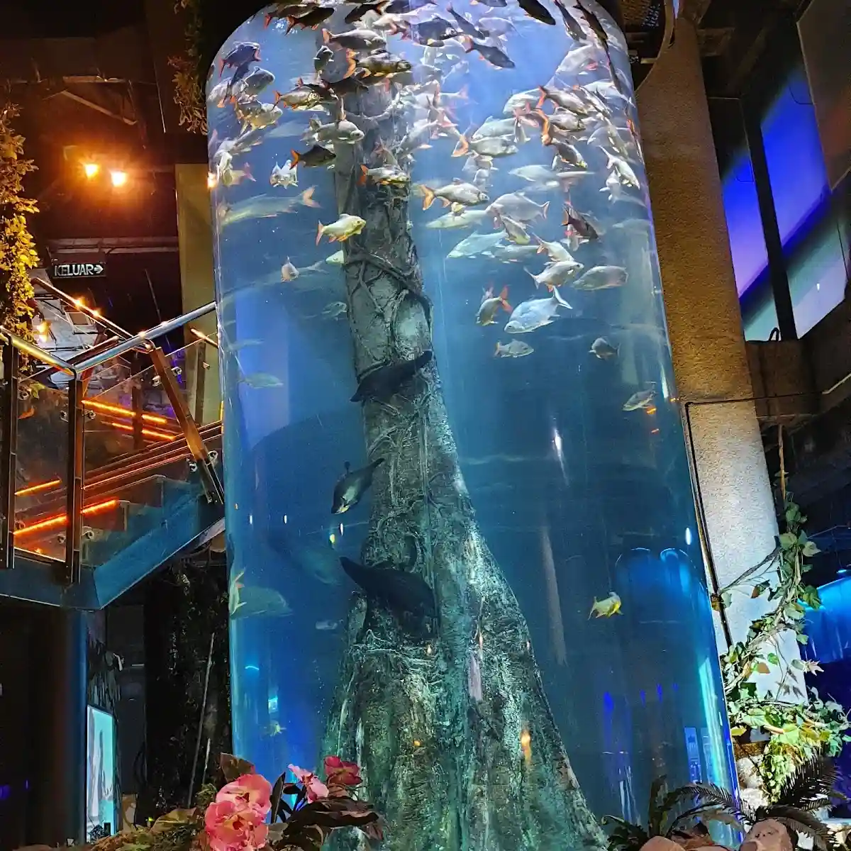 Top 10 Theme Parks in KL & Selangor 2026 2 Aquaria KLCC underwater tunnel oceanarium Kuala Lumpur