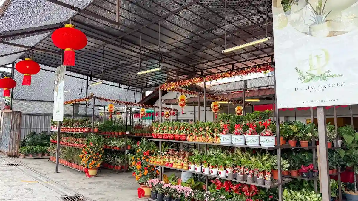 Top 10 Florists in Johor Bahru 2026 2 DL Lim Garden florist Taman Abad Johor Bahru fresh bouquet