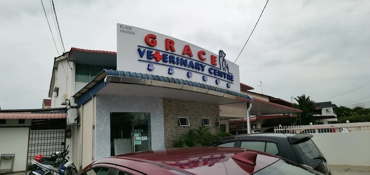 Top 10 Veterinary Clinics in Penang 2026 2 Grace Veterinary Centre Sungai Nibong veterinary clinics in Penang
