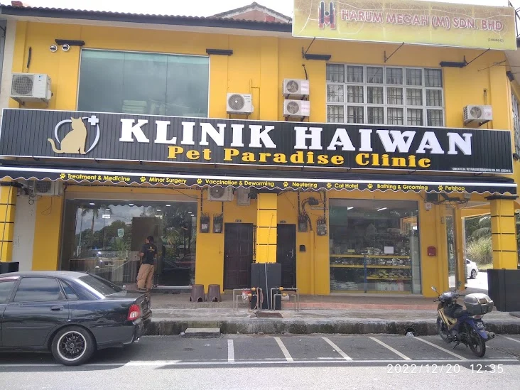 Top 10 Veterinary Clinics in Johor Bahru 2026 2 Pet Paradise Clinic veterinary clinic Bandar Baru Uda Johor Bahru