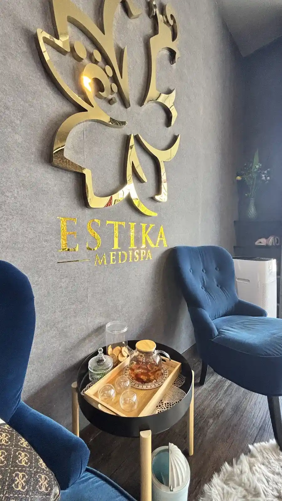 Top 10 Skin Clinics in Penang 2026 3 Estika Medispa Penang Bayan Lepas aesthetic clinic
