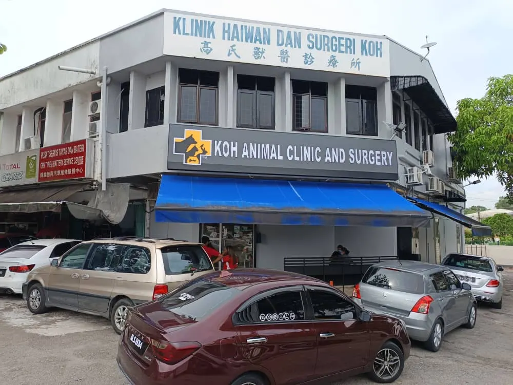 Top 10 Veterinary Clinics in Johor Bahru 2026 3 Koh Animal Clinic and Surgery Vet Partners Taman Kebun Teh Johor Bahru