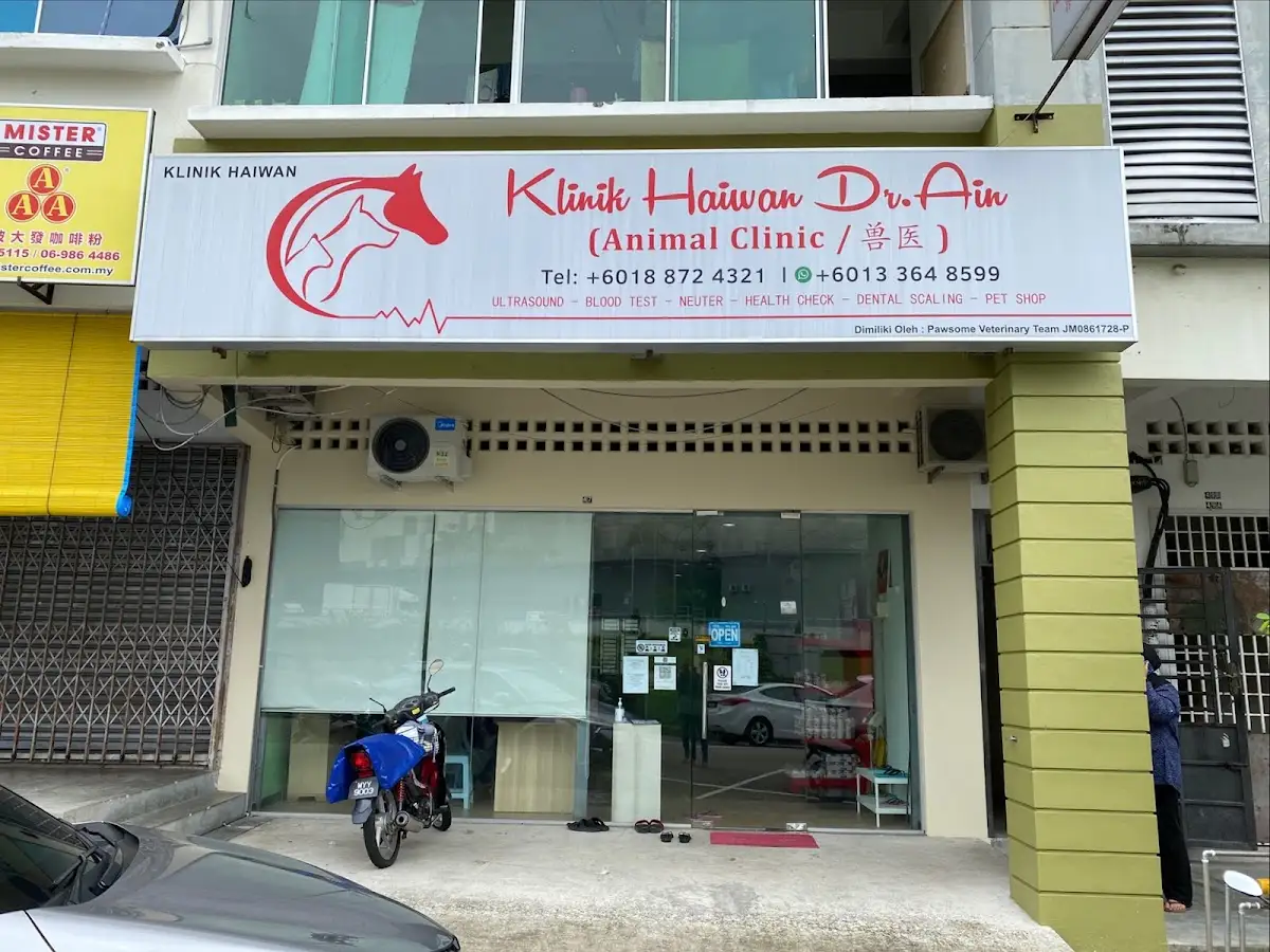 Top 10 Veterinary Clinics in Johor Bahru 2026 8 Klinik Haiwan Dr Ain veterinary clinic Taman Desa Tebrau Johor Bahru