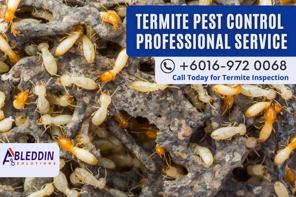 Top 10 Pest Control in Johor Bahru 2026 9 Ableddin Termite Control Johor Bahru Taman Ungku Tun Aminah anai anai specialist