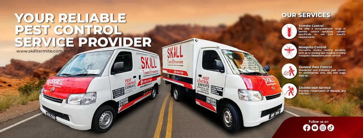 Top 10 Pest Control in Penang 2026 9 Skill Termite Exterminator Sdn Bhd Perai Penang anai anai specialist