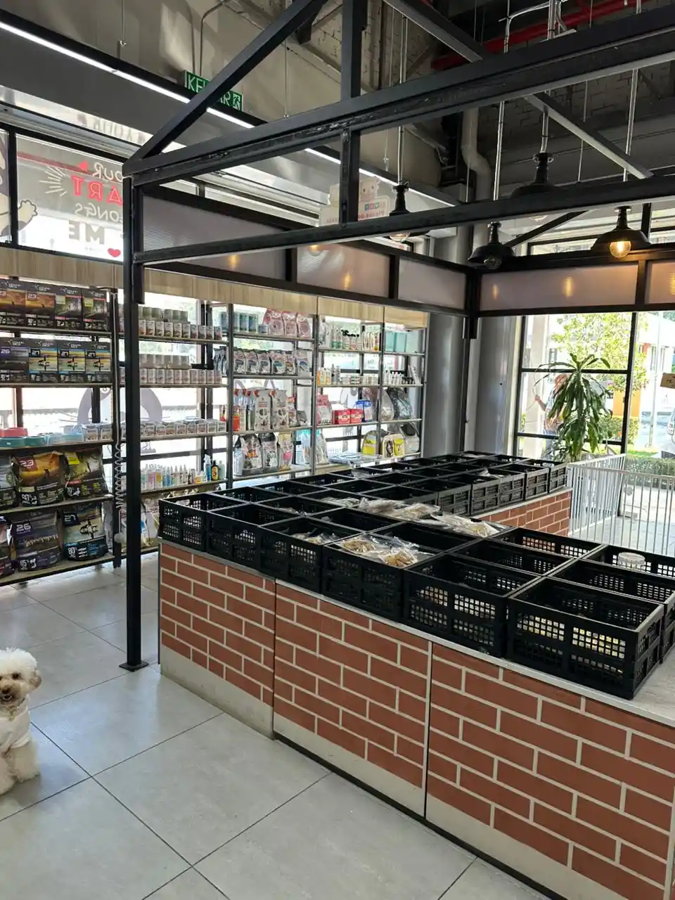 Top 10 Pet Shops in KL & Selangor 2026 10 Black Nose Pet Shop 16 Sierra Puchong Selangor