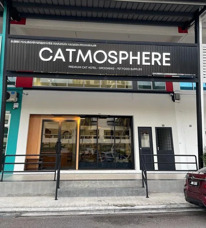 Top 10 Pet Grooming in Johor Bahru 2026 2 Catmosphere cat grooming and cat hotel Kampung Nong Chik Johor Bahru